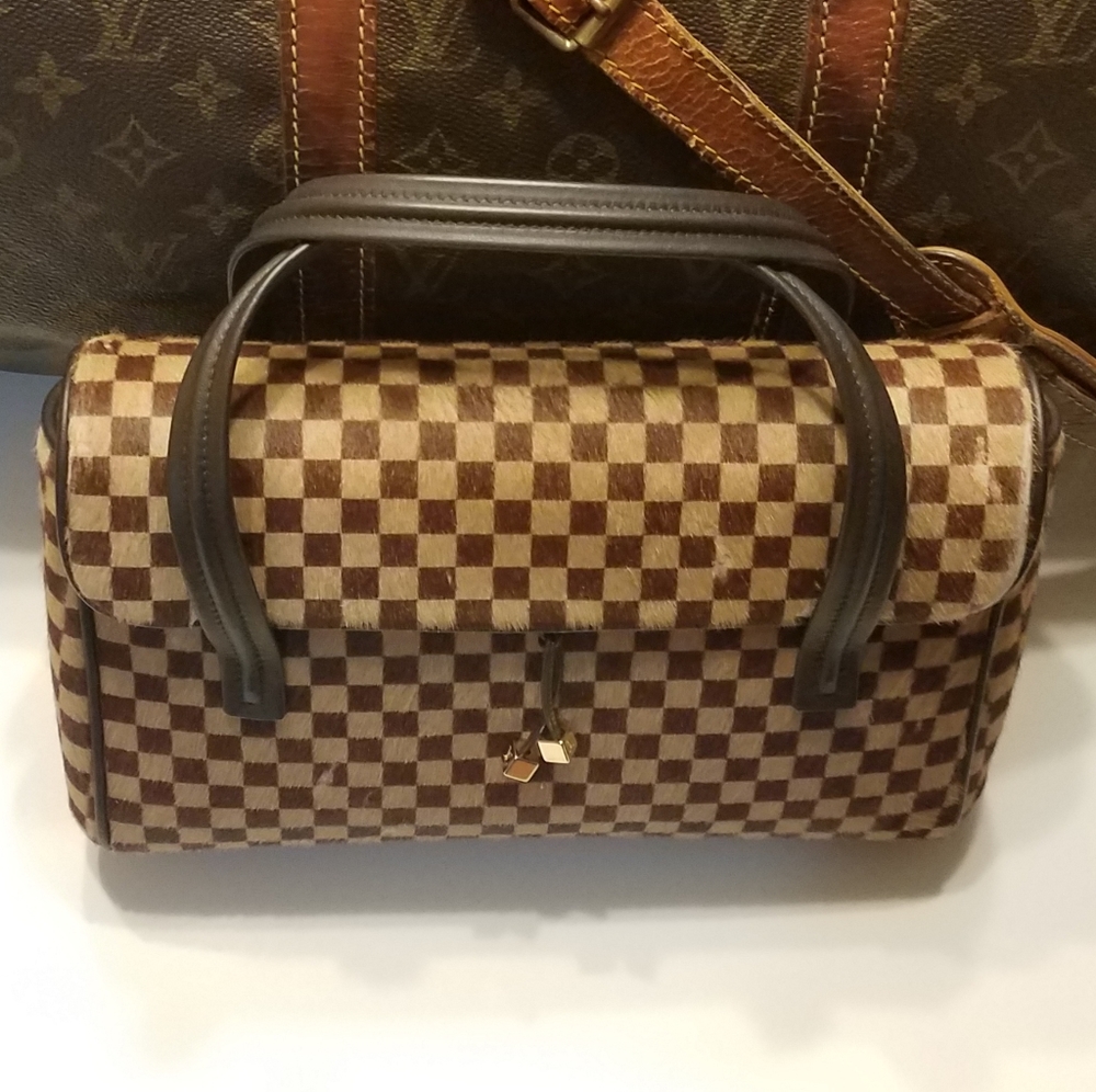Louis Vuitton Lionne Damier Sauvage Tote